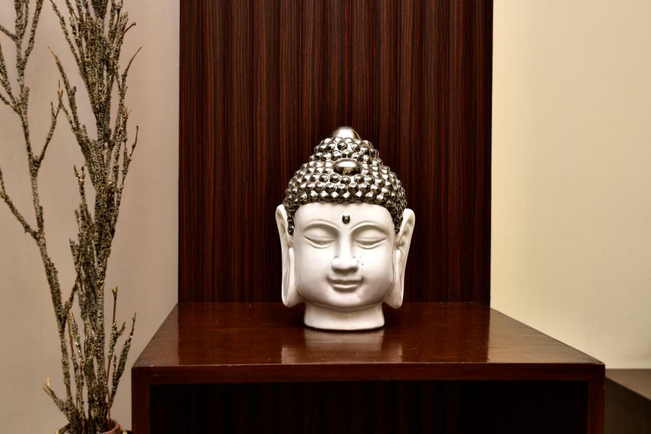 2Bhk Comfortable Furnished Serviced Apartments In Hauz Khas - Woodpecker Apartments New Delhi Exteriör bild